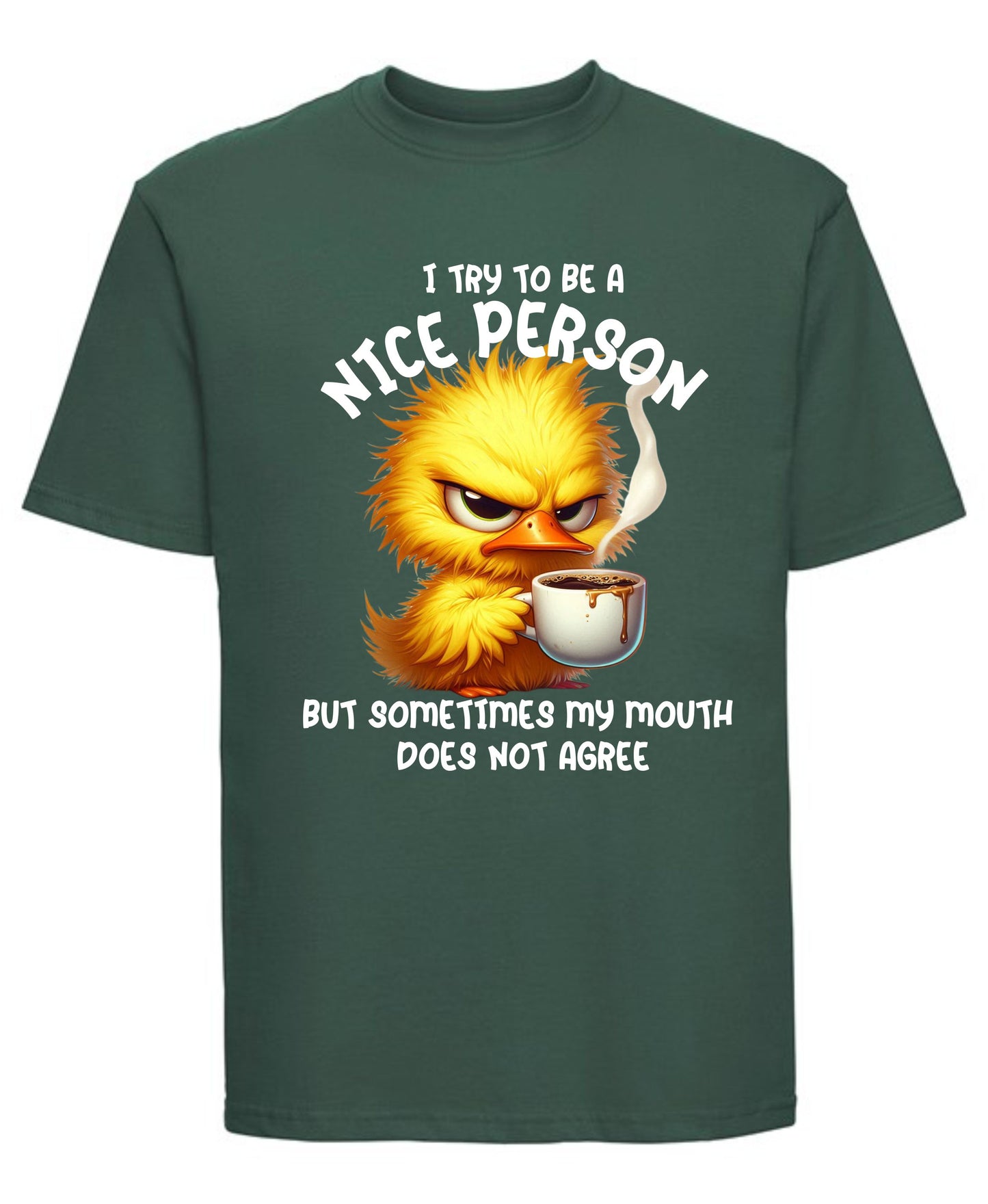 I Try to Be a Nice Person T-Shirt | Funny Sarcastic Graphic Tee