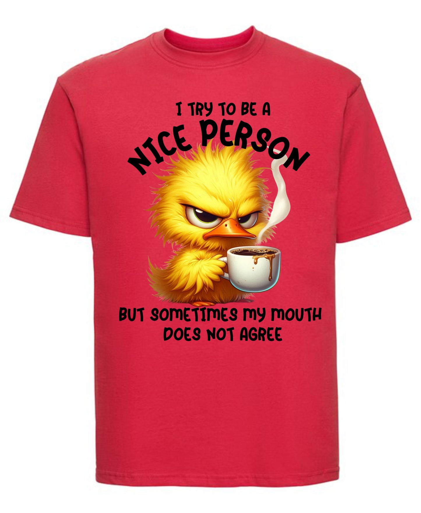 I Try to Be a Nice Person T-Shirt | Funny Sarcastic Graphic Tee