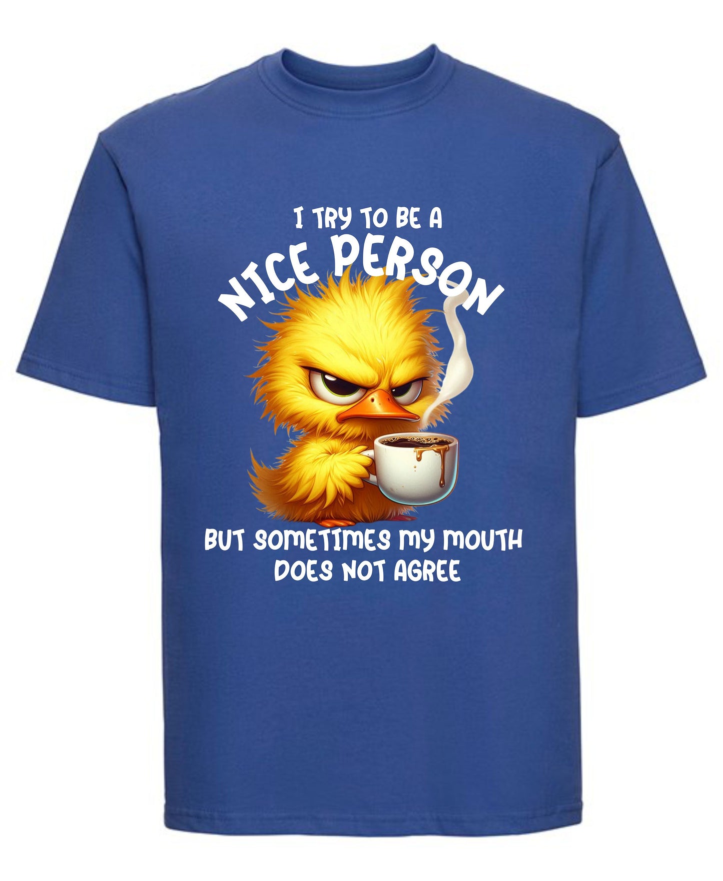 I Try to Be a Nice Person T-Shirt | Funny Sarcastic Graphic Tee