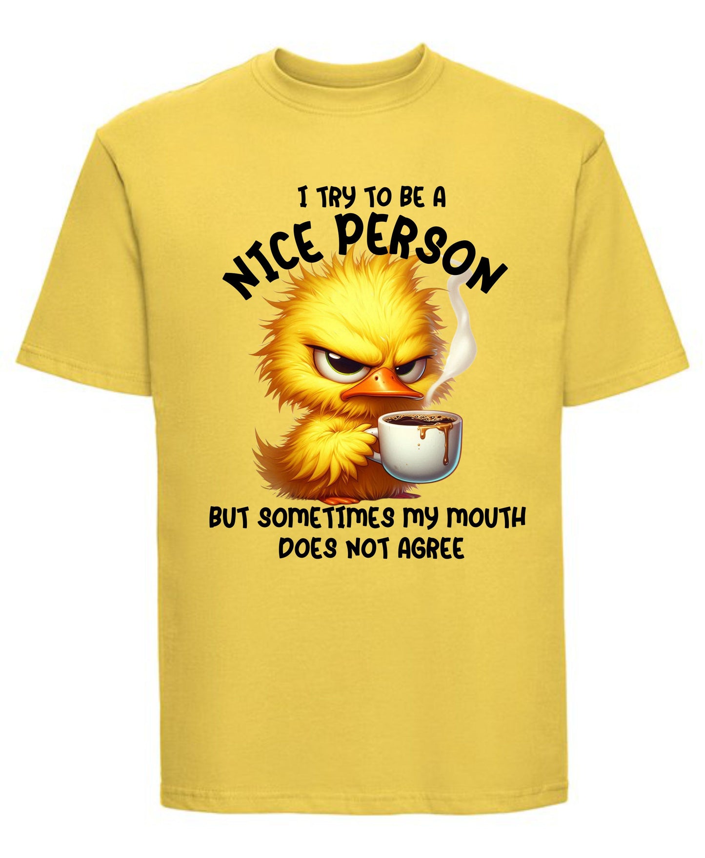 I Try to Be a Nice Person T-Shirt | Funny Sarcastic Graphic Tee